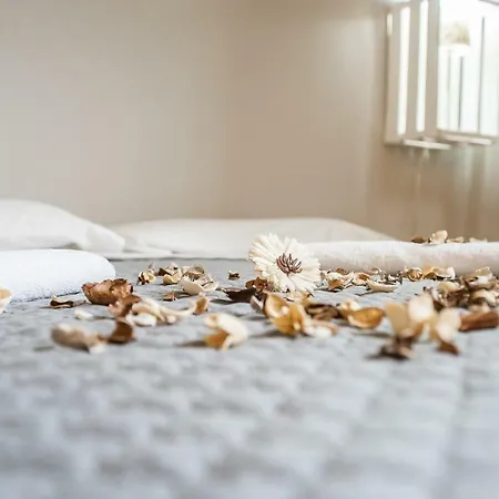 多尔切度假屋 罗马